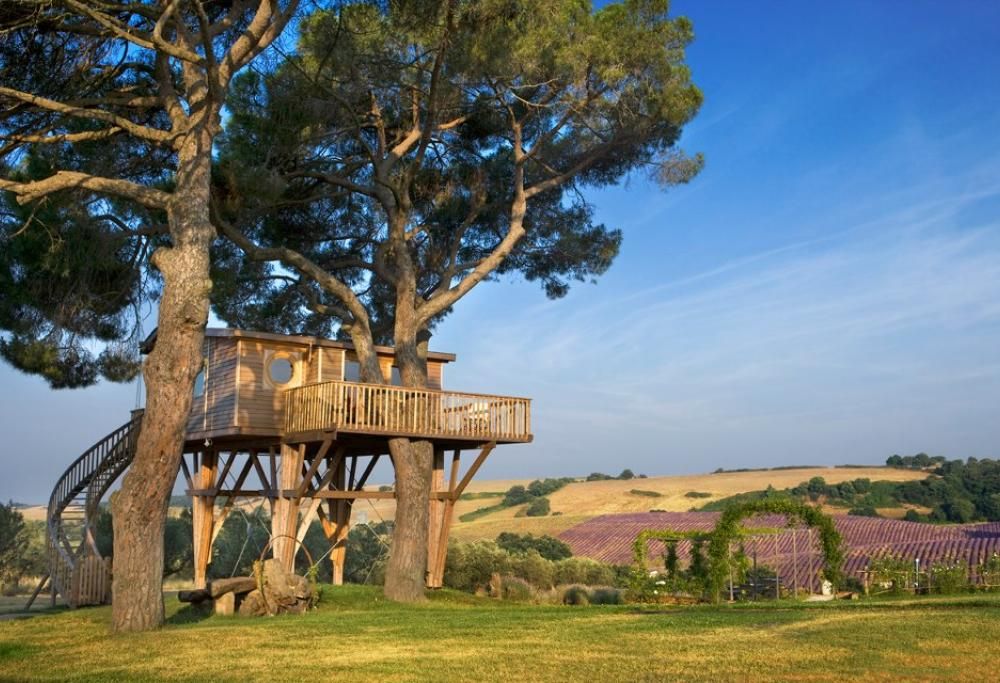 Il sogno diviene realtà: la casa sugli alberi più bella si trova in Italia