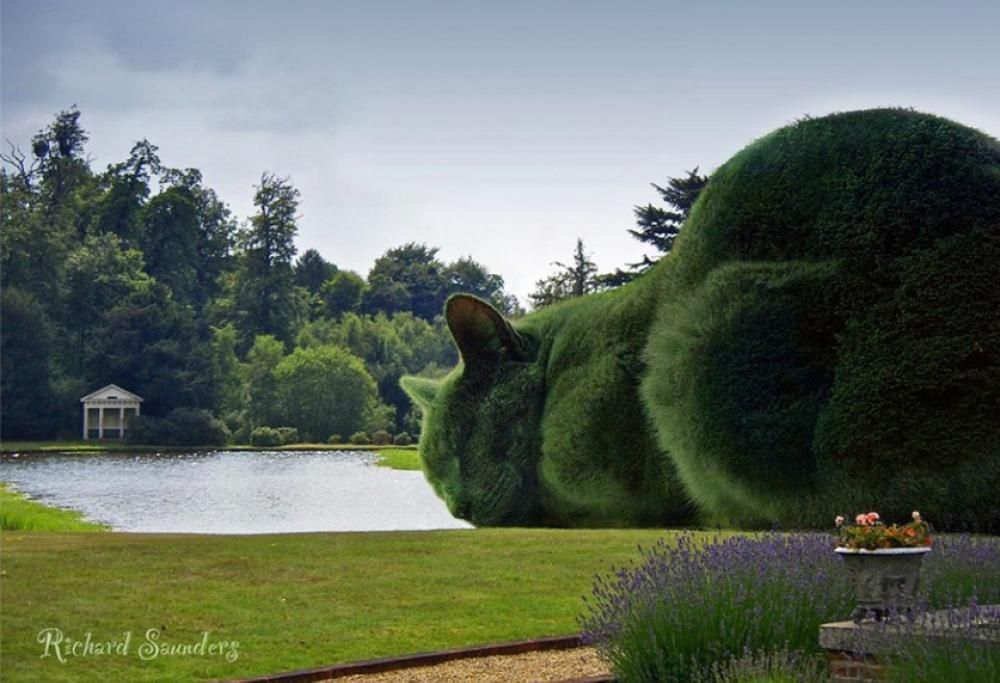 Il gigantesco omaggio di un artista al gatto scomparso
