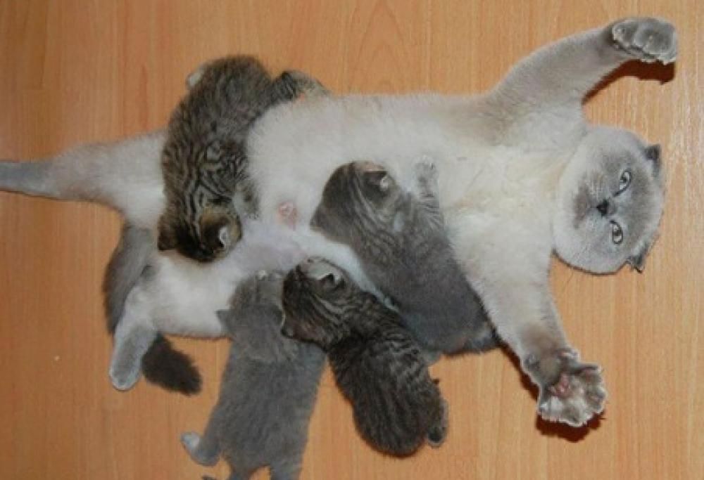 10 neo-mamme speciali esprimono perfettamente cosa significa essere madre