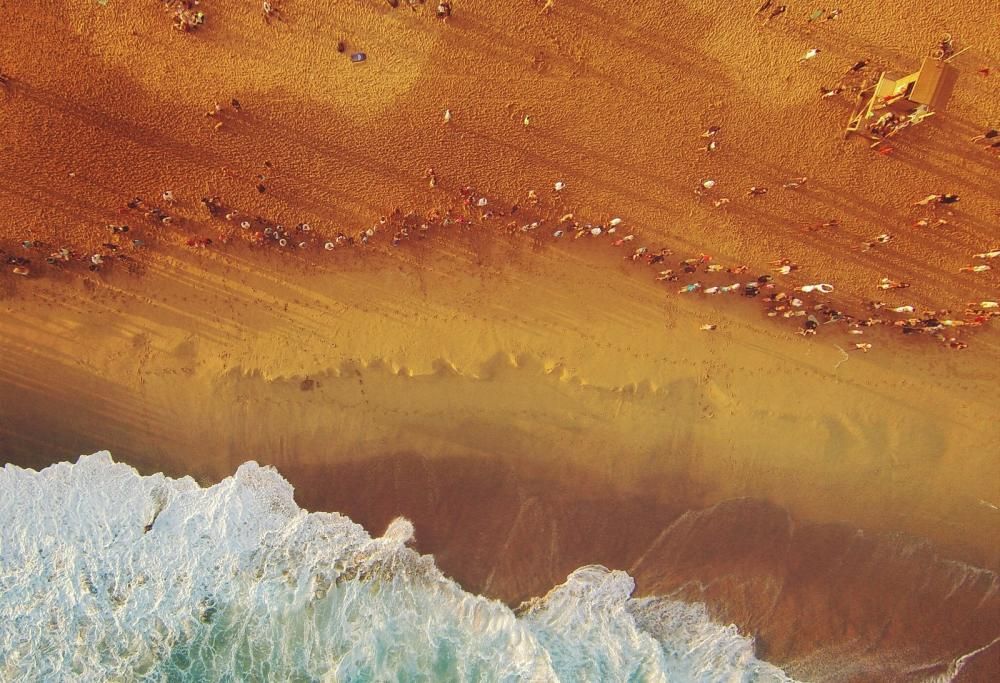 L’America dal punto di vista degli uccelli