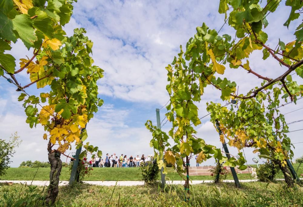 Il Festival del Franciacorta in Cantina vi aspetta!