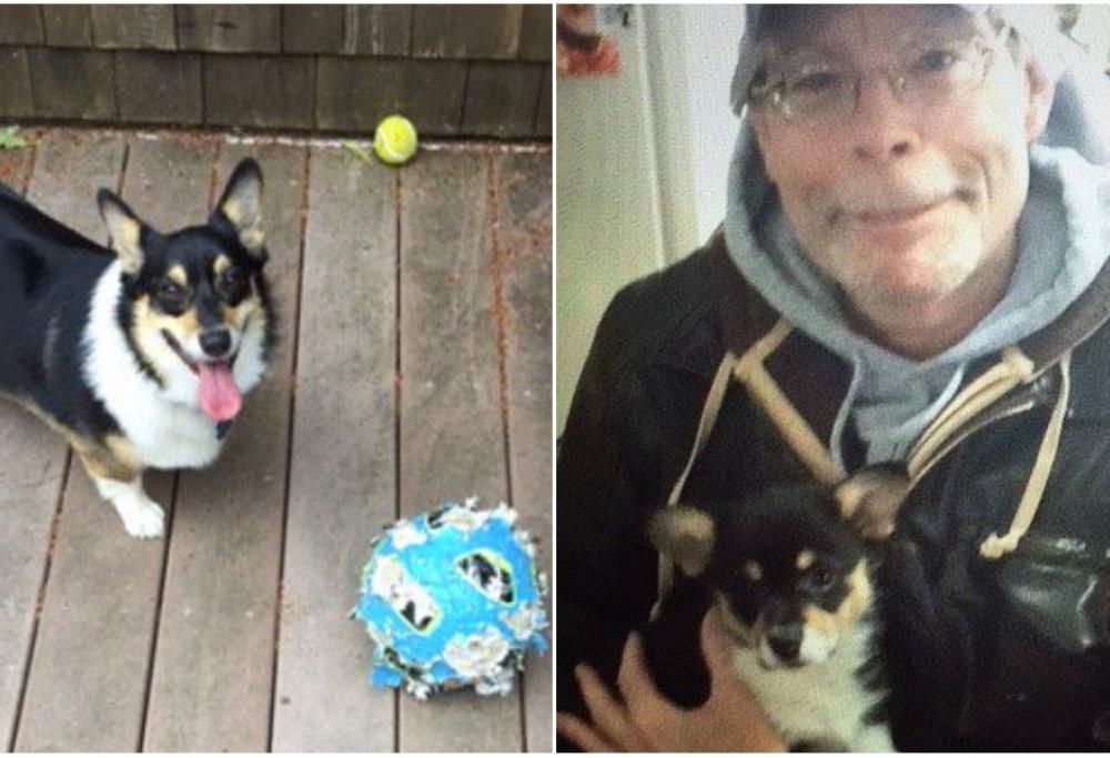 Stephen King. La sua tenera “Cosa del Male” conquista il web