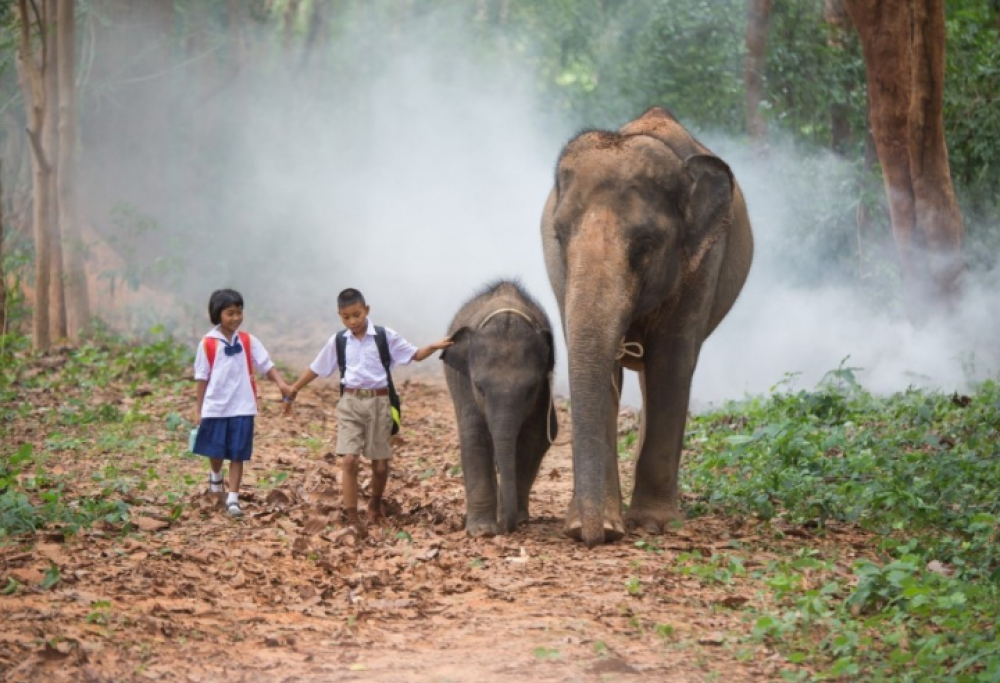 A scuola con gli elefanti. La routine di due bambini thailandesi