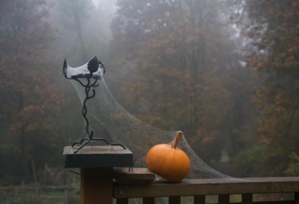 Sai decorare la zucca di Halloween? Ecco alcune dritte!