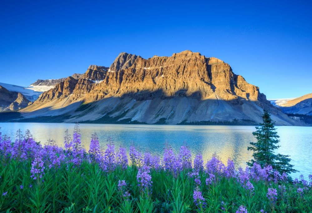 Ecco dove viaggeremo di più nel 2017