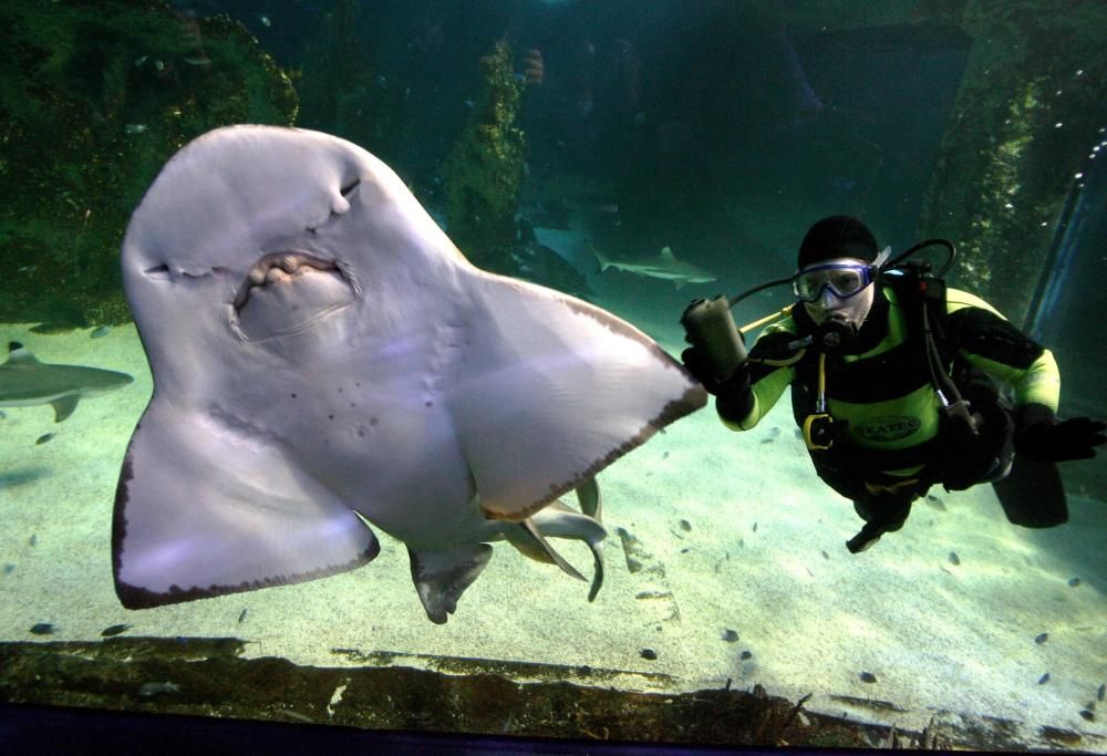 I 5 lavori più pericolosi e strani