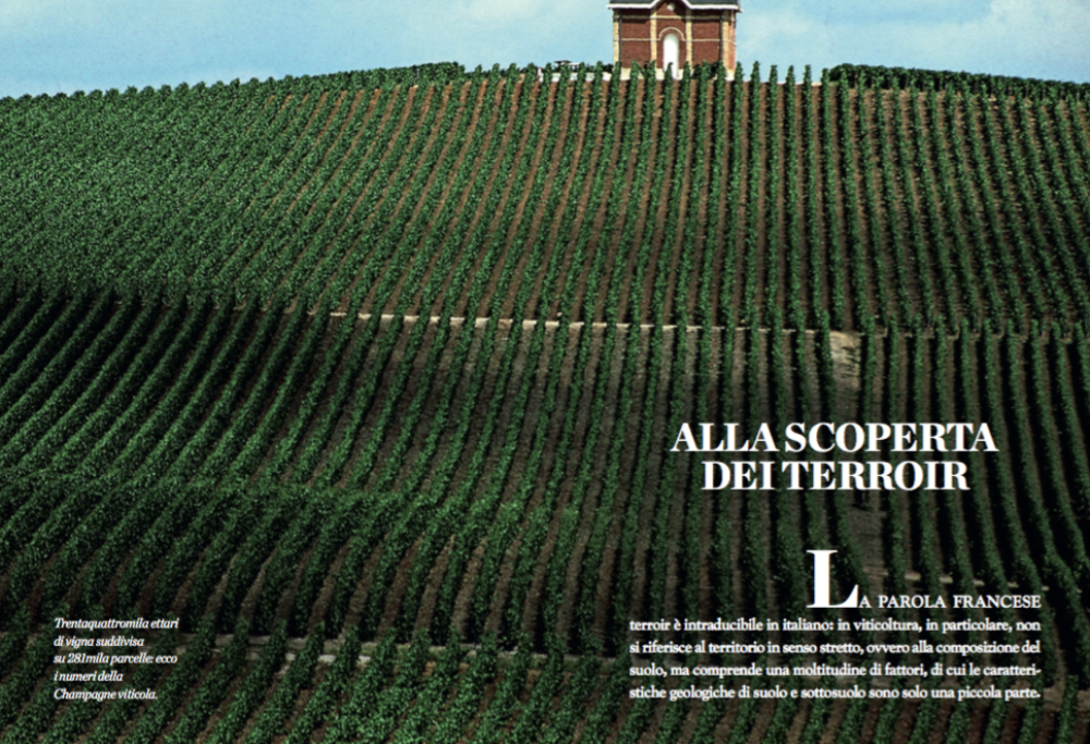 Viaggio in Champagne