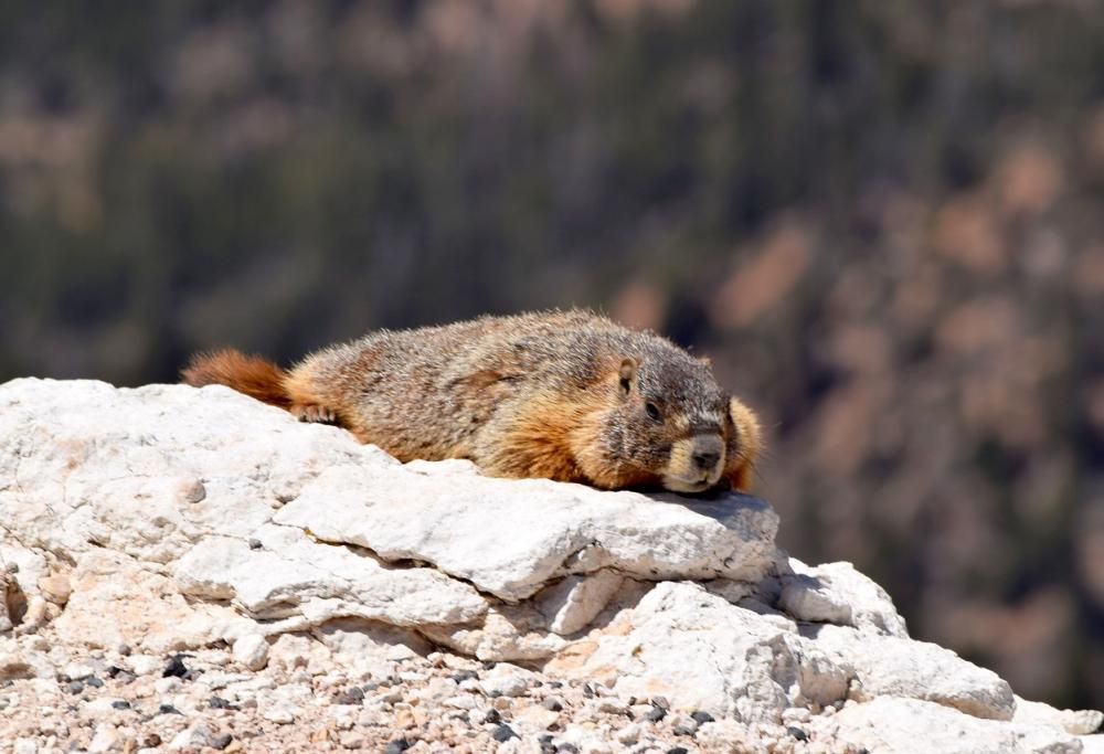 Ponte del primo maggio: iniziative e idee su dove andare