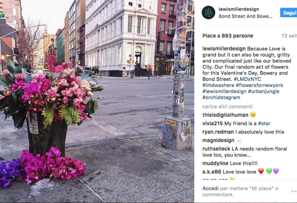 Fiorista o bandito?  Giudicate voi!