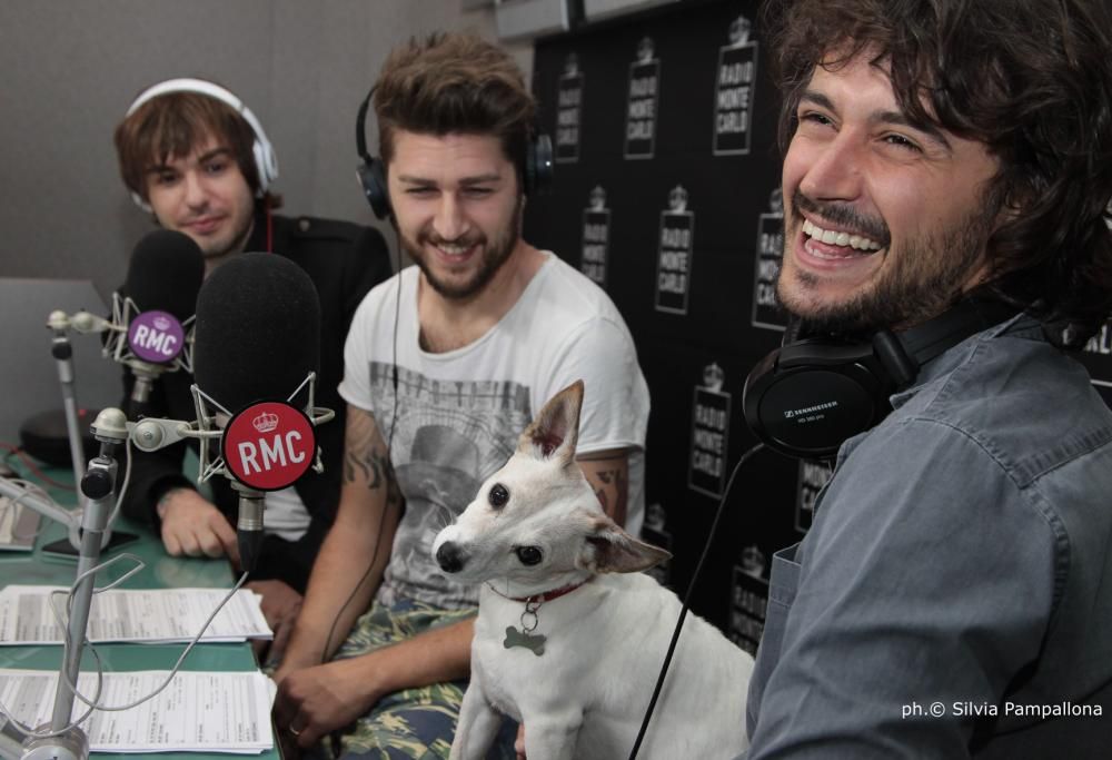 RMC festeggia la giornata mondiale dei cani in ufficio: guarda le foto più belle dei nostri dj con i loro quattro zampe!