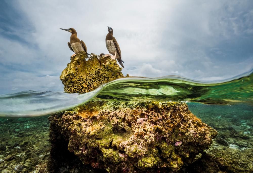 Museo Oceanografico:  viaggio in un sito paradisiaco