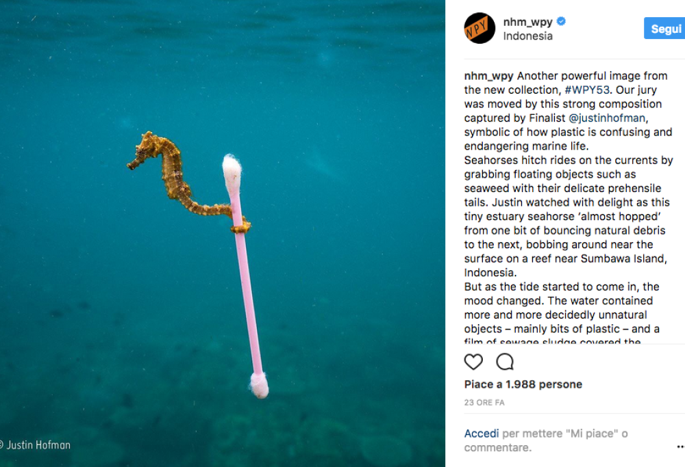 Emozionatevi con le foto più belle del Wildlife Photographer of the Year 2017