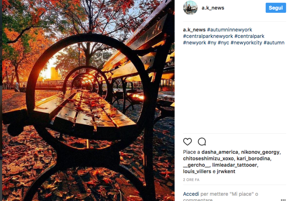 Amate il foliage? Ecco i luoghi più belli per ammirarlo