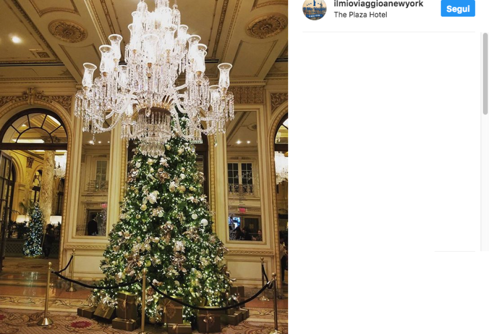 Alla scoperta degli alberi di Natale più belli di New York