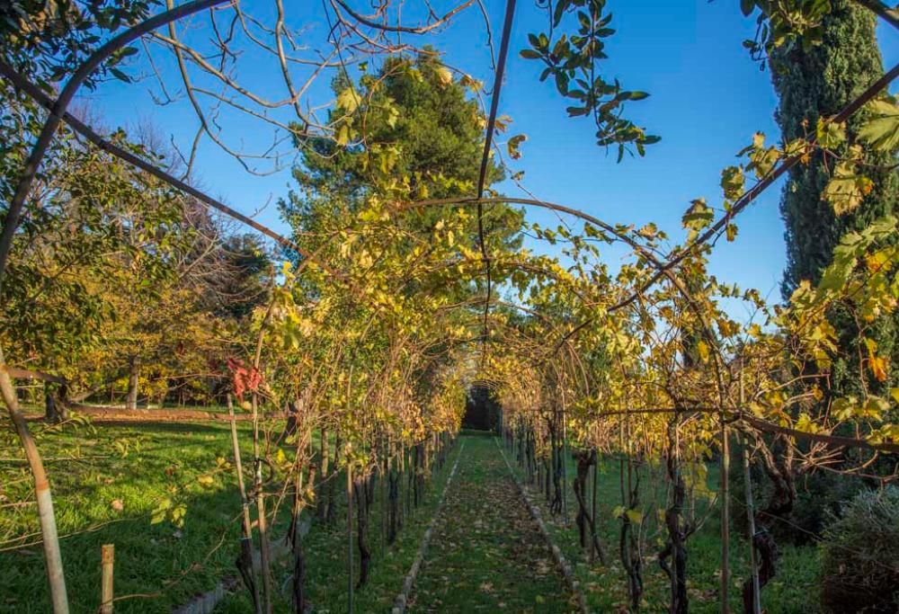 Il Colle dell’Infinito a Recanati e l’Abbazia di Santa Maria di Cerrate a Lecce