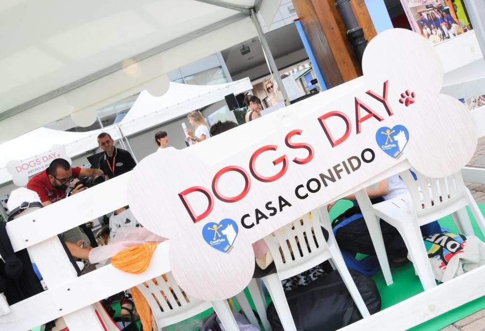 Dogs Day a Mondovicino Outlet Village: tra divertimento e solidarietà