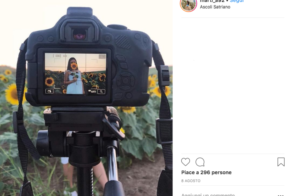 Un campo di girasoli distrutto… per un selfie!
