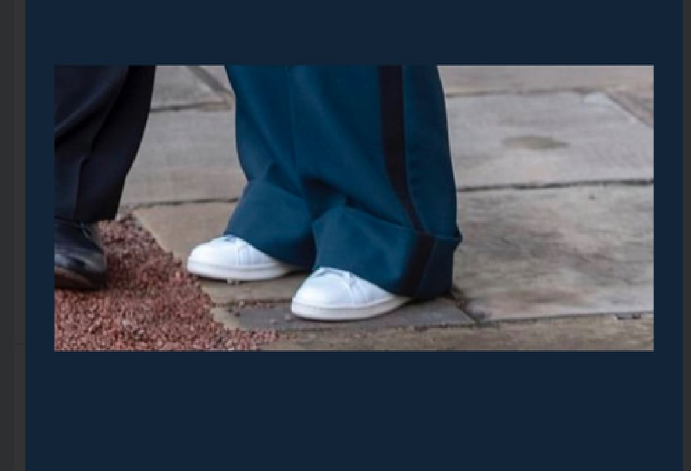 Emma Thompson infrange il protocollo di corte