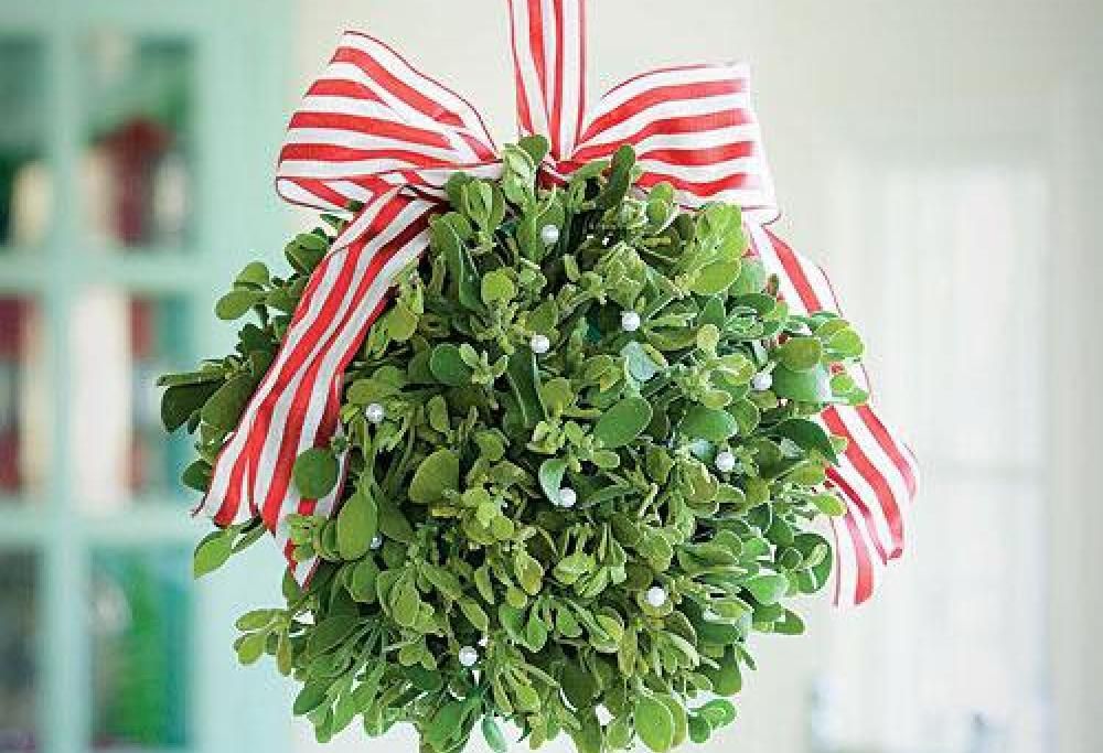 Perché a Natale ci si bacia sotto il vischio?