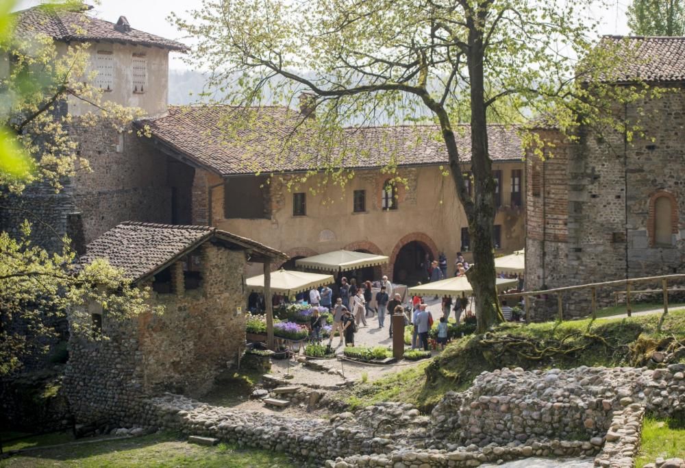 Fiori al Monastero di Torba