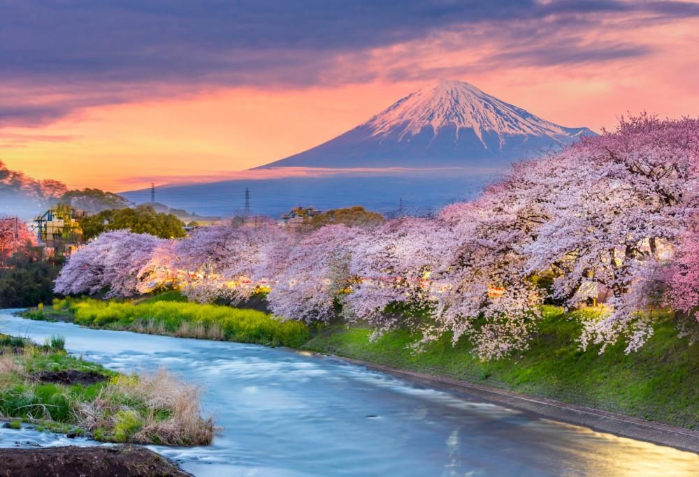 Giappone, Svezia, Sicilia,  Amalfi: ecco le mete ideali per i viaggi del 2020