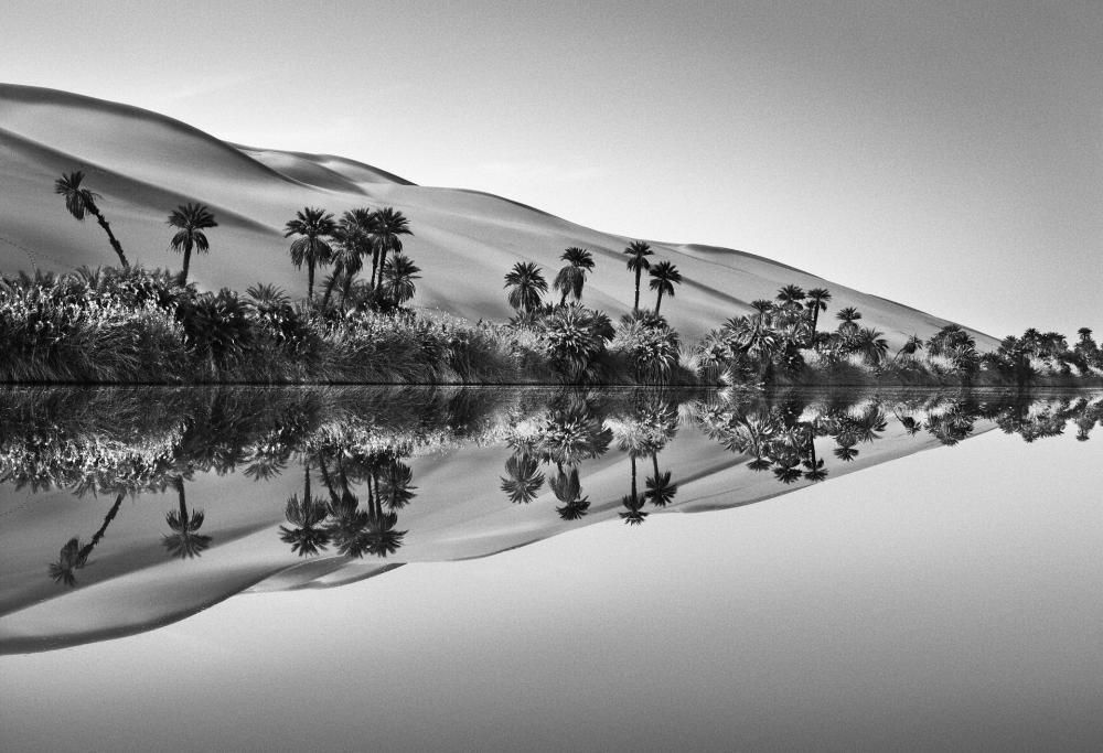 Aqua Mater- Sebastião Salgado